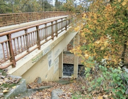 Frauenmantelwegbrücke