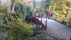 Hohe Brücke