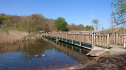 Wuhle - Brücke (Nesselsee) Wuhle - Brücke (Nesselsee)