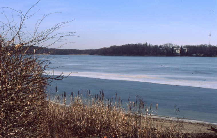 Starussee